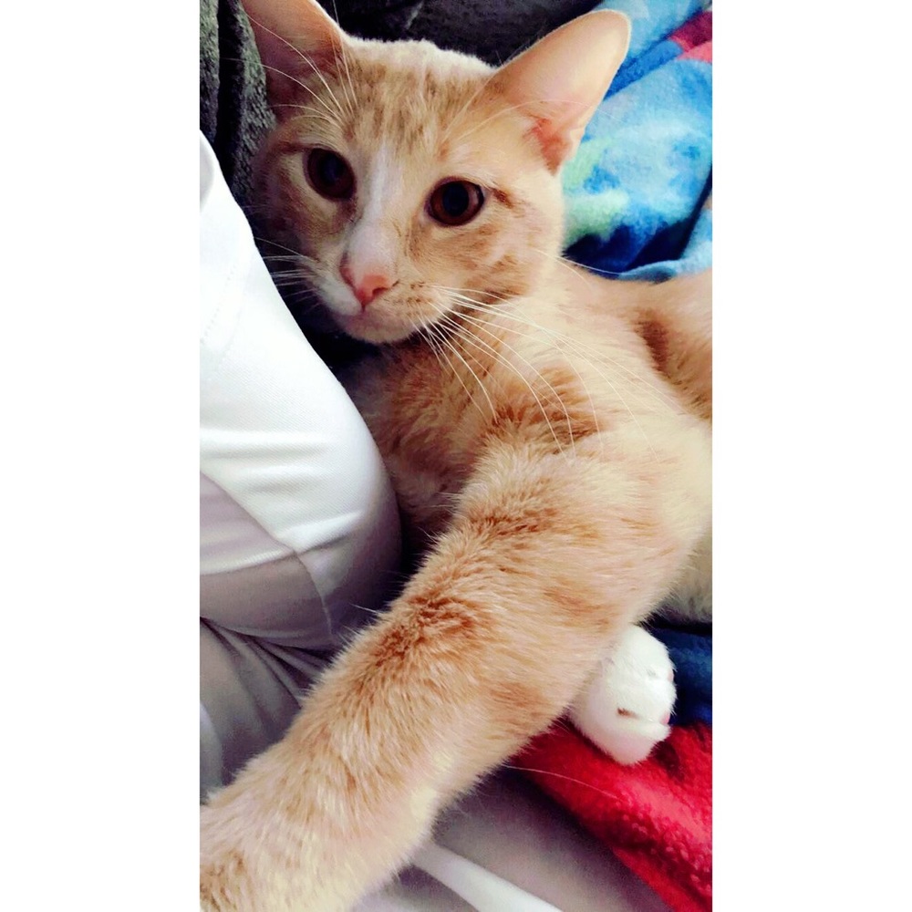 Meet your Posher, Brianna